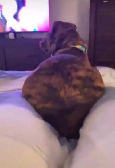 Bit Booty Bitch ??