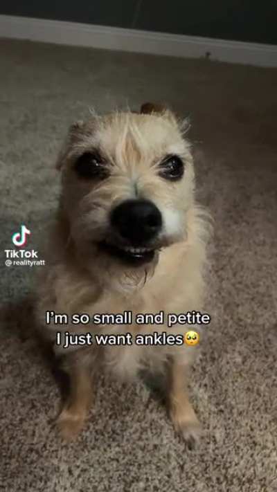 I’m just small and petite ?