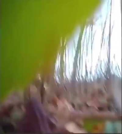 Meanwhile in Poland (Kurwa moment)