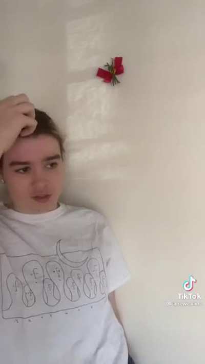 Mistletoe