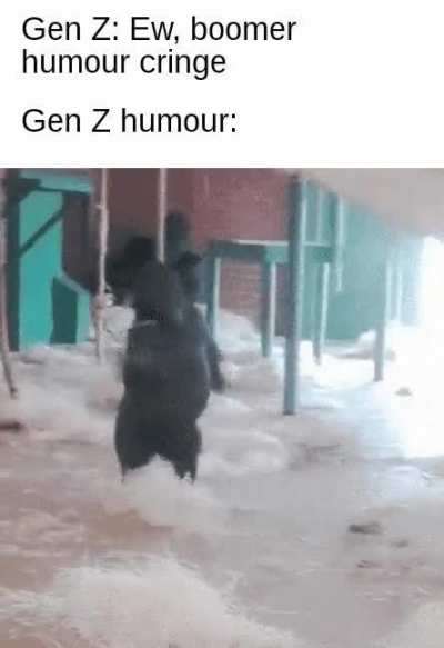 Rotate monké