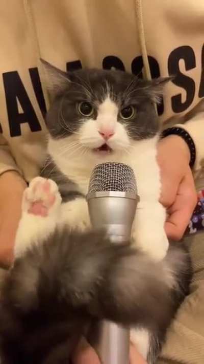 Musician