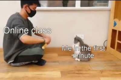 Haha scrolling goes brrr