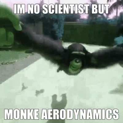 Flying Monke