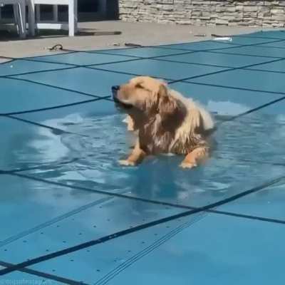 Having some fun in the puddles