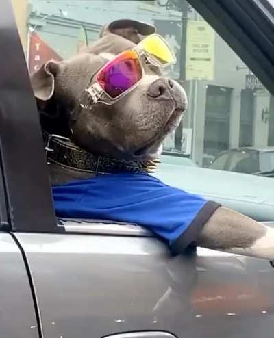 Mans Pimping