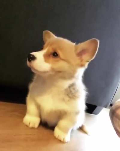 Cute AF