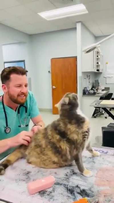 Vet Plays The "I Love You" Spots On Kitty