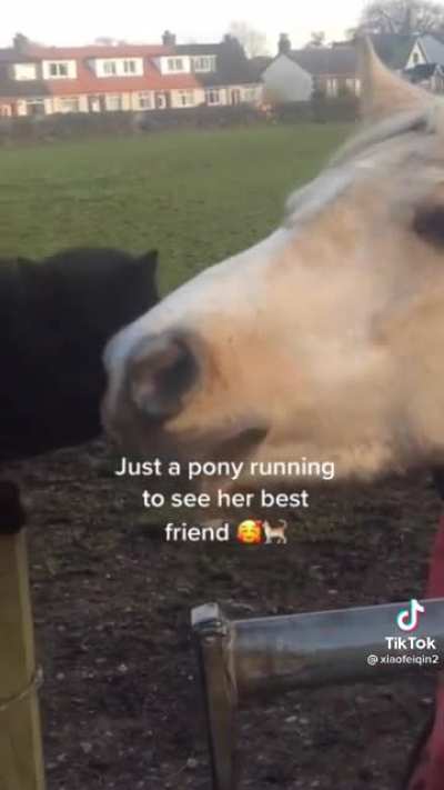 Best friends
