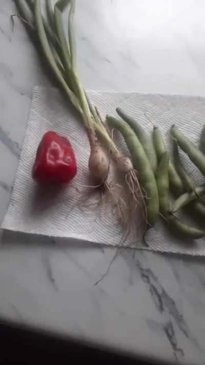 garden feast.. ?