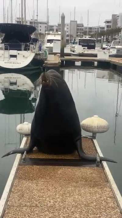 Actual footage of me on Monday morning