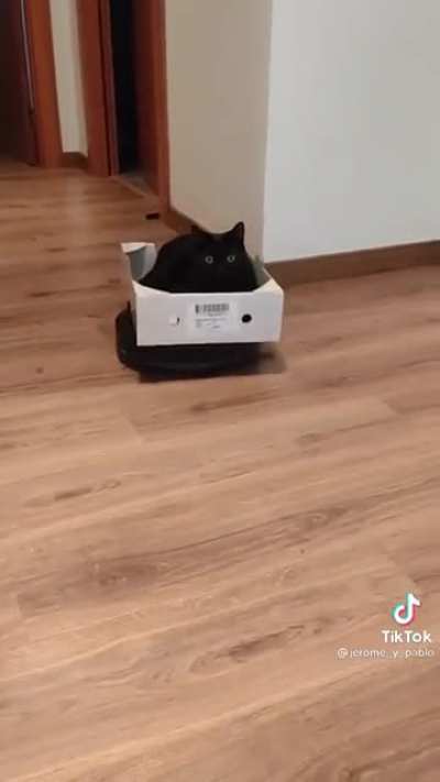 Here he comes