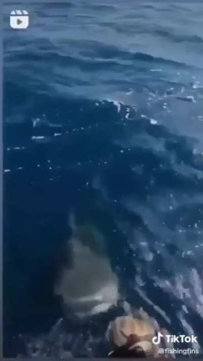 To do snorkeling