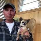 chihuahua life
