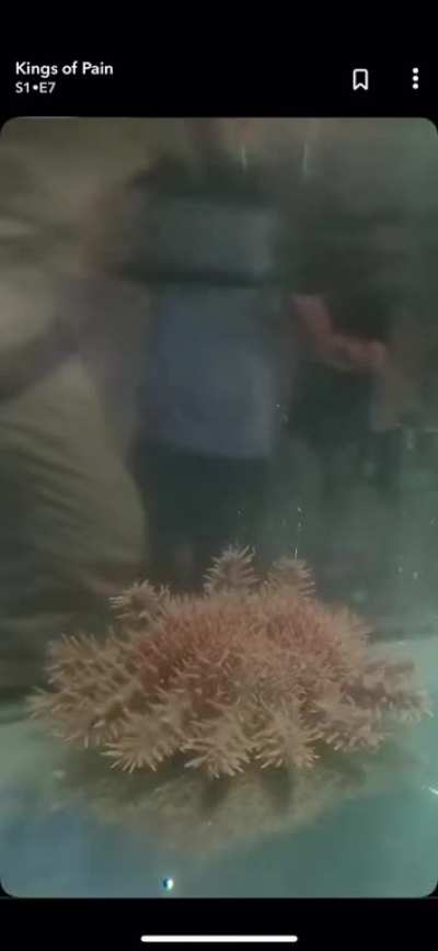 His friend’s face lmao.