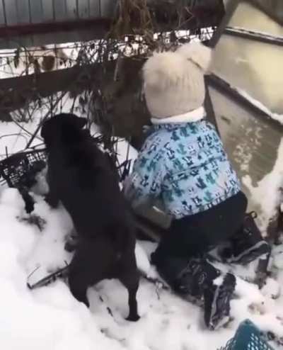 I am a dog too