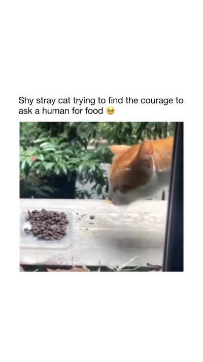 Oh poor baby, my heart! ?