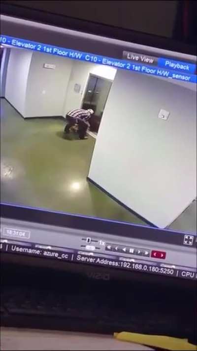 Passer-by reacts quickly to remove dog's collar
