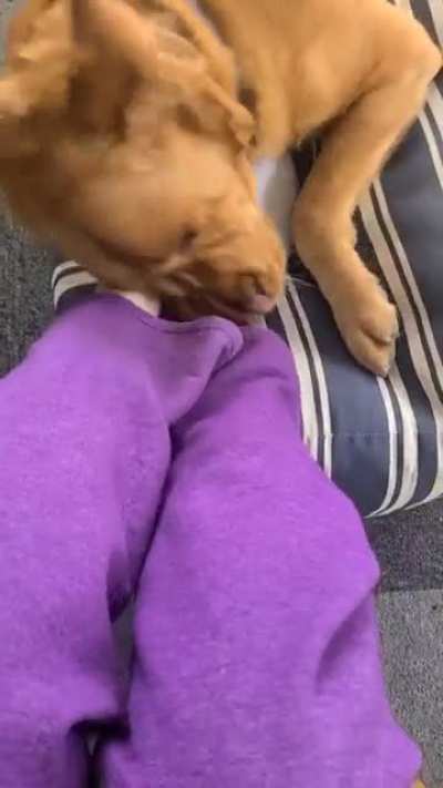 SMOOSH DA FACE