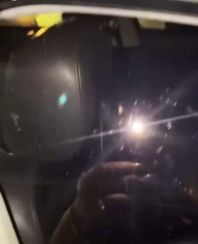 roach infested car