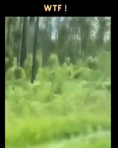 What the actual fuck