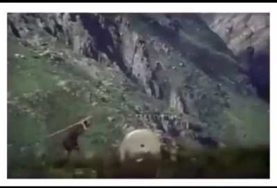 Caveman just may have invented the wheel..?!