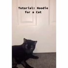 Perfect Hoodie