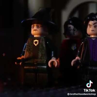 "SO IT WAS YOU EHO PUT HIS NAME IN THE GOBLET OF FIRE" Dumbledore said calmly as he proceeded to beat the shit out of the culprit.