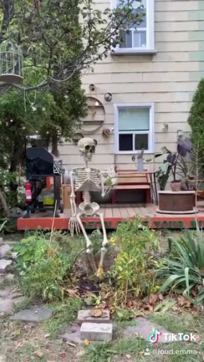 Grow your own Home Depot 12 foot skeleton ???