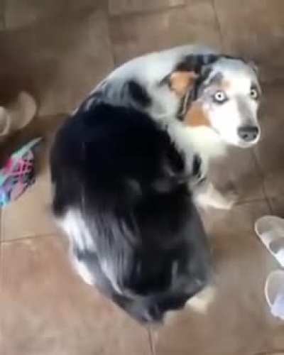 Quick..scratch..no time to explain..