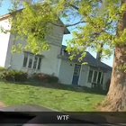 "So i came home to a surprise.."