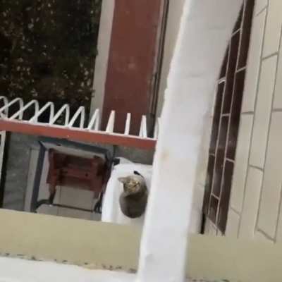 Hellooo!