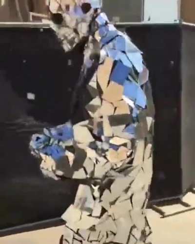 Try this awesome outfit