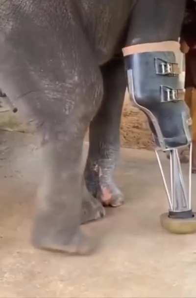 New leg