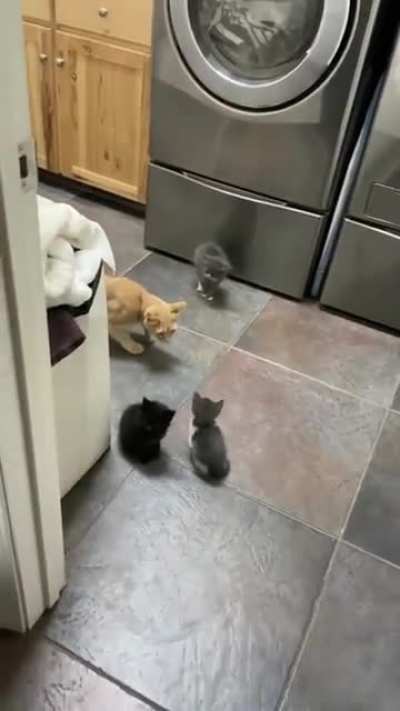 Maybe Maybe Maybe