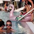 HMC while I float around on the flamingo
