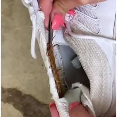 Fits this sub like a glove.