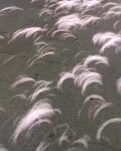 ? Shadows during a solar eclipse