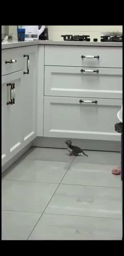 Mini catculation