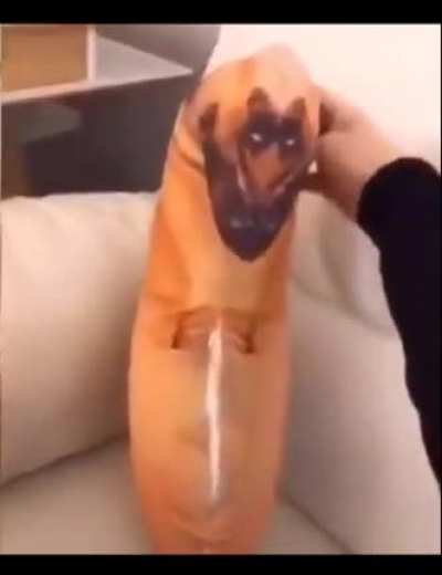 Owner tries to console the sad dog