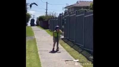 Lil dude was scooting for his life ?