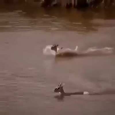 To save her baby