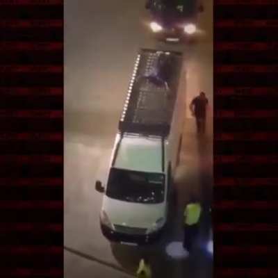 True ninja