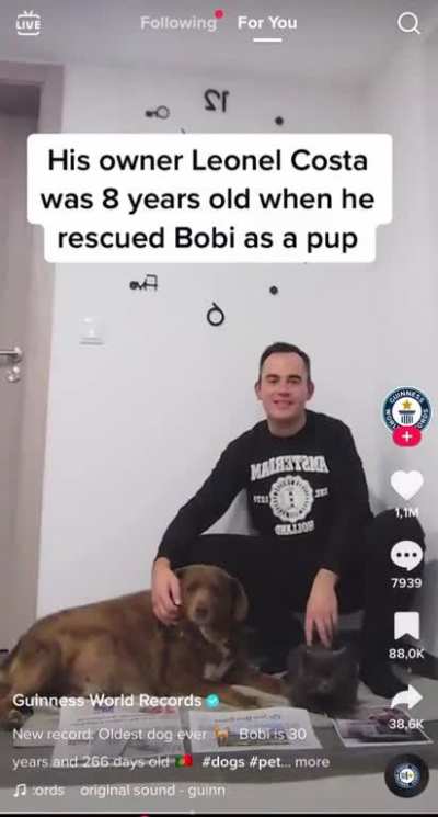 World’s oldest dog: this guy rescued him as a pup when he was 8 - now 38