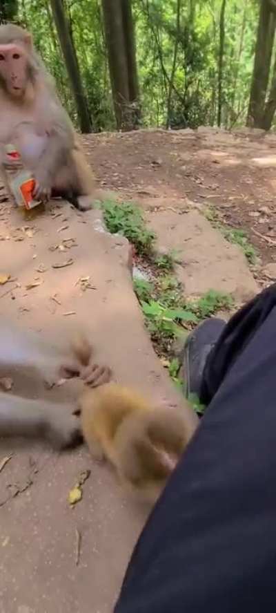 To drink in peace