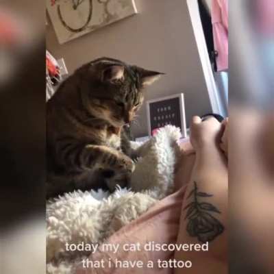 wot dis ?