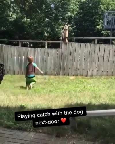 Dogs are the best people