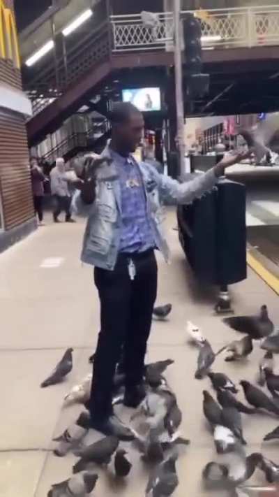 The Bird Genie