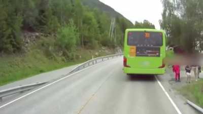 Quick reaction by the driver, too