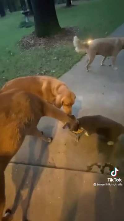 “Mom said you can stay for dinner. We have plenty”